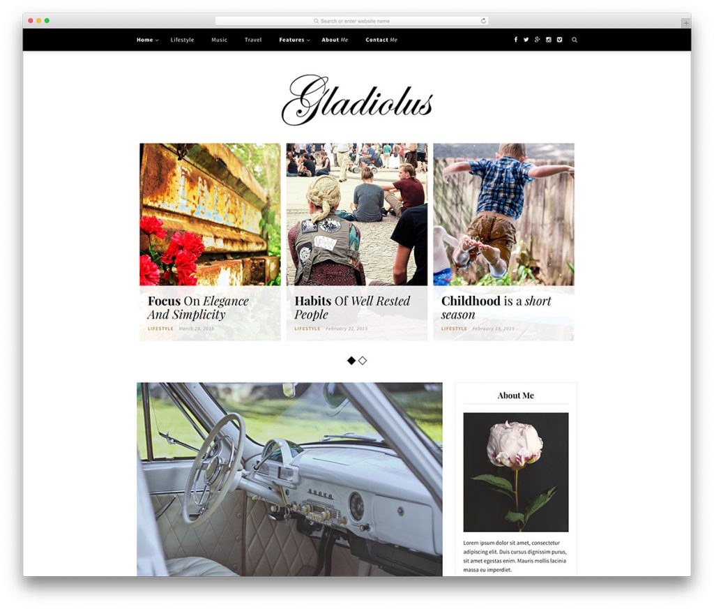 WordPress blog themes