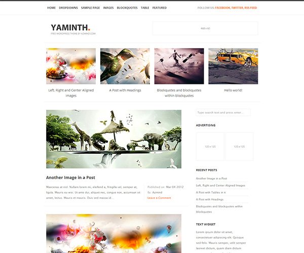 responsive free wordpress themes YAMINTH
