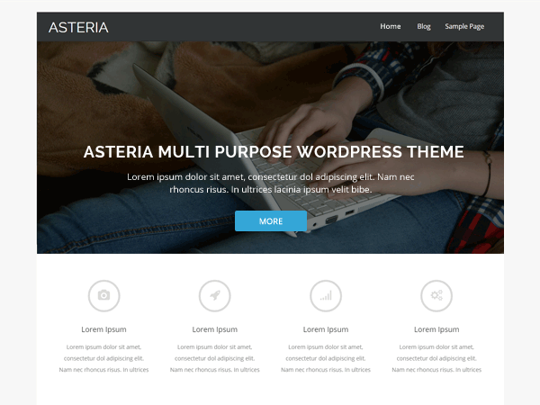free portfolio wordpress themes Asteria Lite