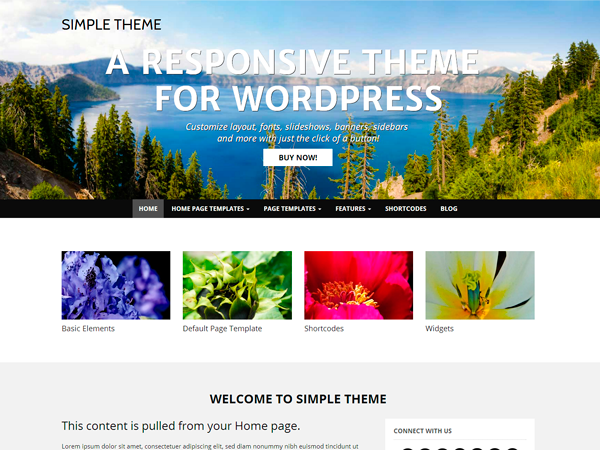 free business wordpress themes simple