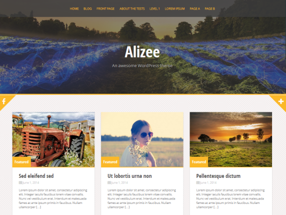 free portfolio wordpress themes Alizee