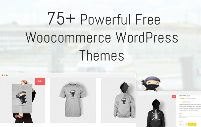 Free Woocommerce WordPress Themes