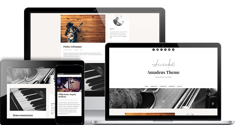 Photography WordPress Themes Amadeus