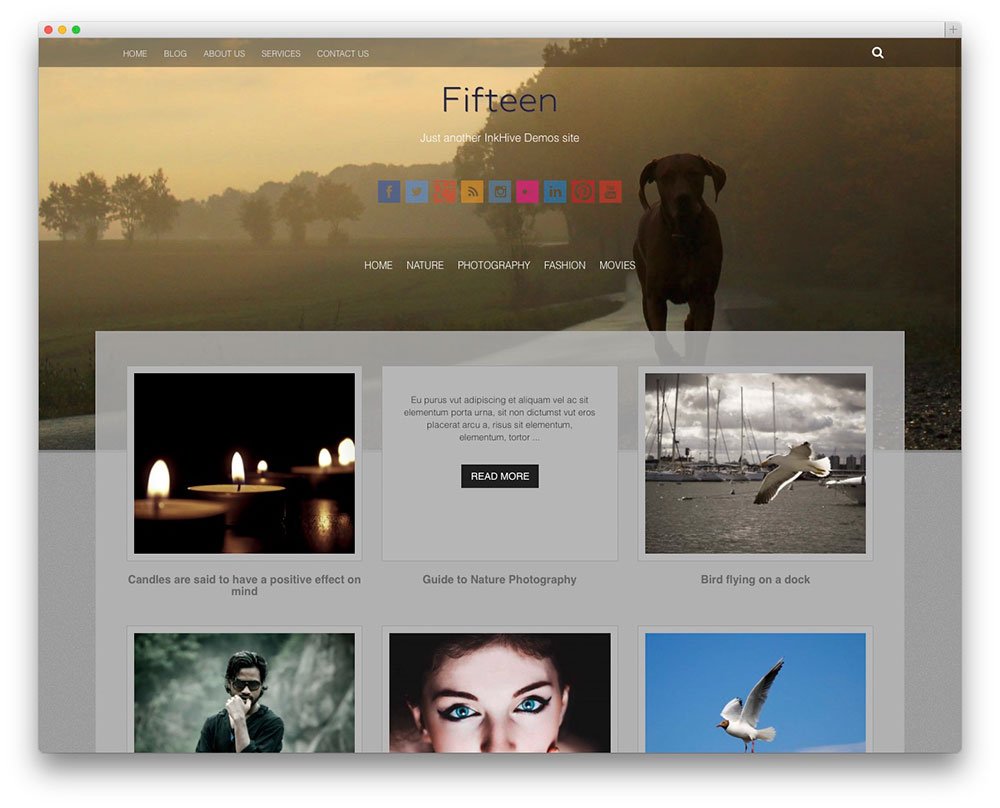 Photography WordPress Themes fifteen