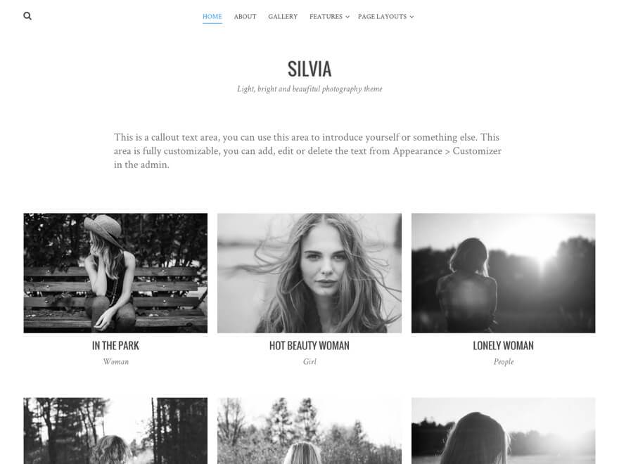 Photography WordPress Themes Silvia