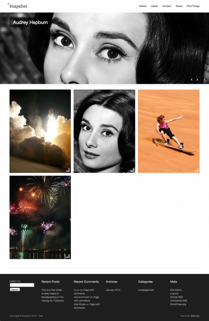 Photography WordPress Themes snapshot