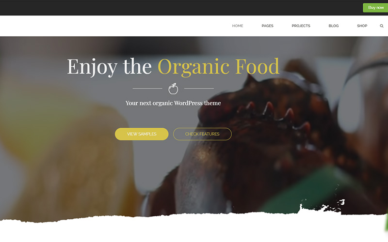 green-healthy-wordpress-theme